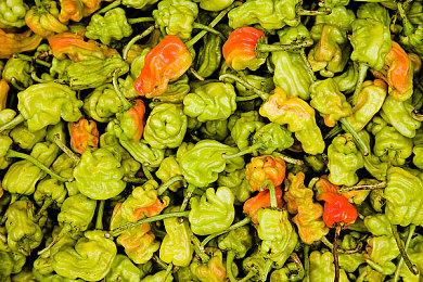 Embracer：收购的SE IP将有续作、衍生作、重制和复刻